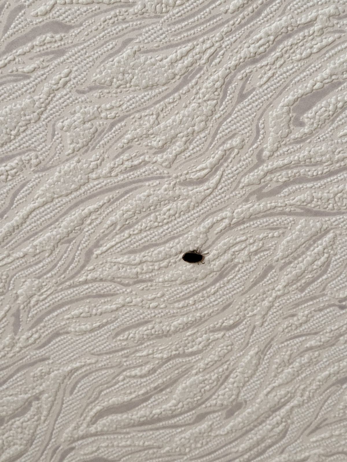 Обработка офиса