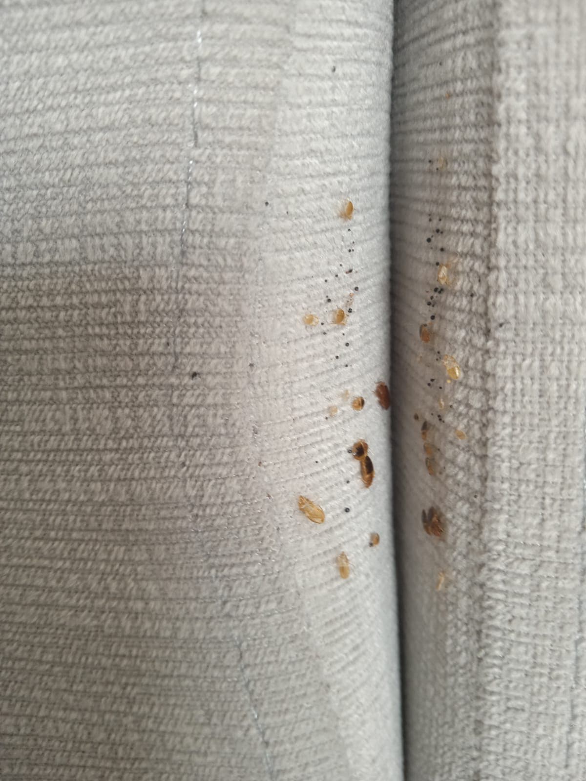 Обработка офиса