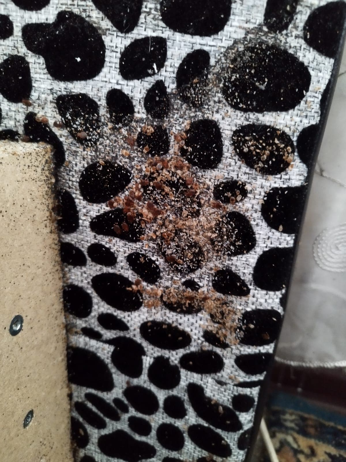 Обработка офиса